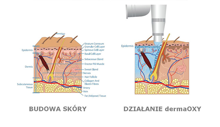 działanie-dermaoxy